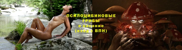 кокаин колумбия Алзамай