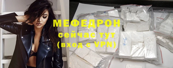 сатива Ростов