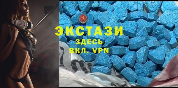 СК Алексин