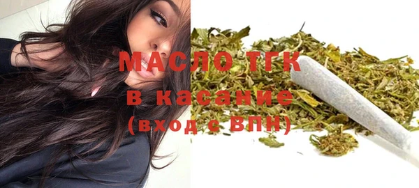 СК Алексин