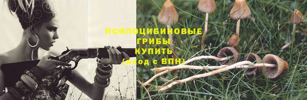 кокаин колумбия Алзамай
