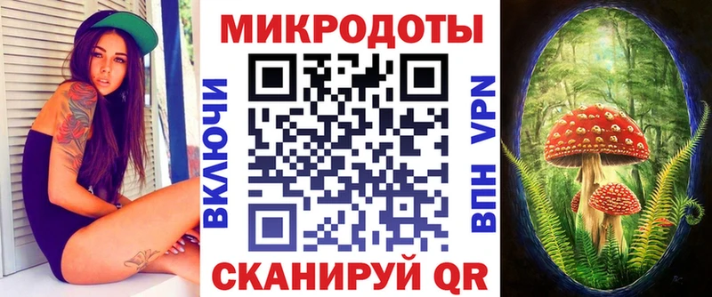 kraken ТОР  Болгар  Псилоцибиновые грибы прущие грибы 