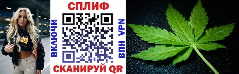 Марихуана ГИДРОПОН  Болгар 